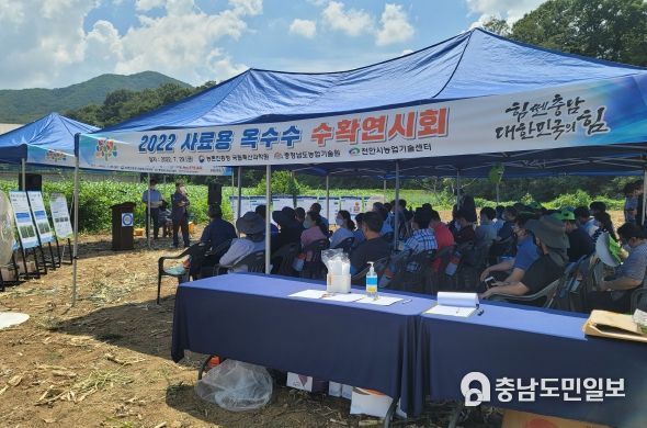 사료용 옥수수 수확연시회 개최