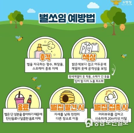 논산소방서, 성묘철 벌쏘임 주의 당부