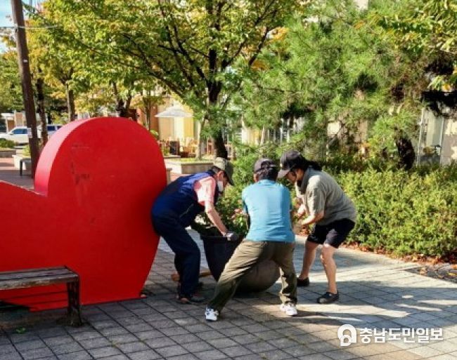 가을꽃 식재 장면
