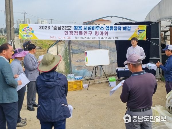 충남도, 시설하우스 염류집적 ‘빠르미’로 해결한다