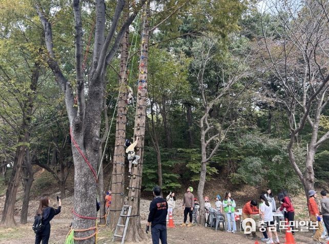 밧줄 레포츠 체험 장면