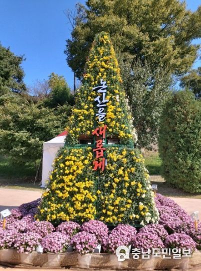가을철 국화의 향기, 논산에도 퍼진다! 시민가족공원으로!