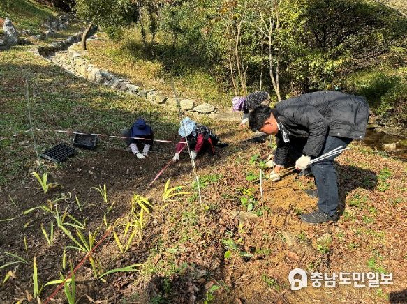 멸종위기식물 식재