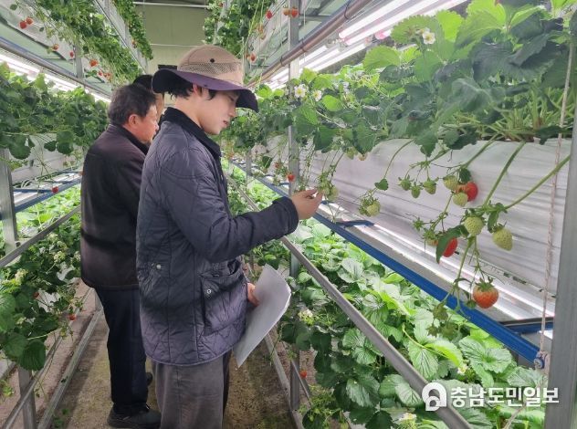 창고형 식물공장 내부