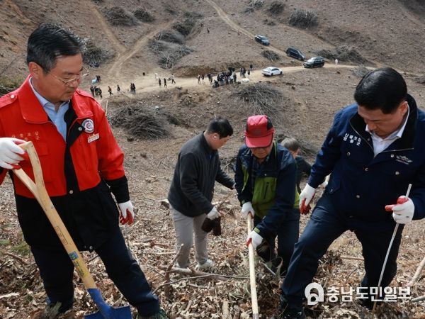 영동군, 제79회 식목일 기념 나무심기 행사