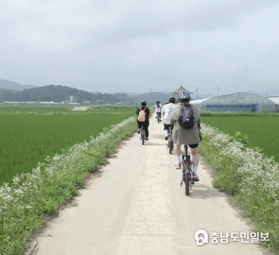 홍성군 ‘따르릉 홍성 유기논길’ 인플루언서 팸투어 큰 호응