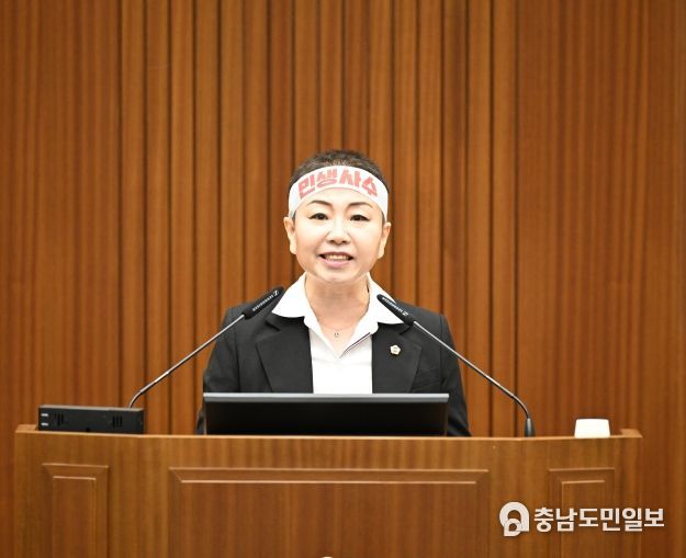 세종시의회 홍나영 의원